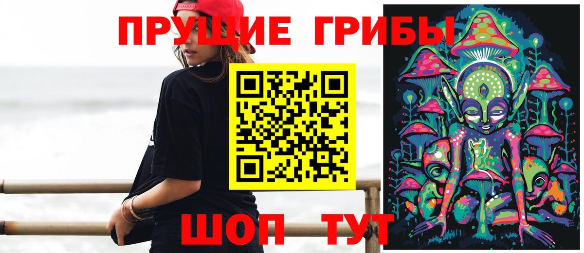 Псилоцибиновые грибы мицелий Североморск