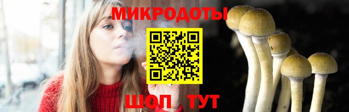 Галлюциногенные грибы прущие грибы  Вход с VPN  где можно купить   Североморск 
